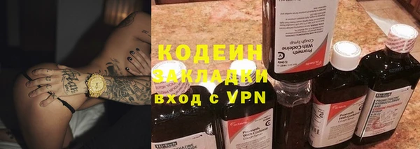 прущие грибы Болохово