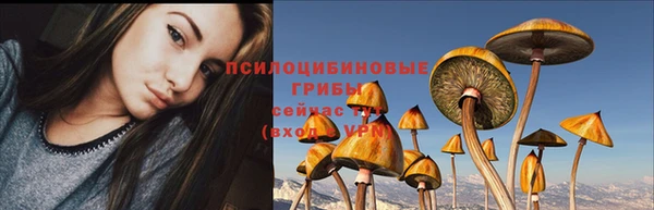 соль курить ск Нязепетровск
