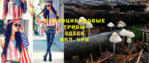 spice Осинники