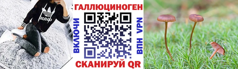 Псилоцибиновые грибы мухоморы  Суоярви 